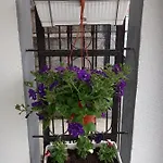 Sokak Apartamento *