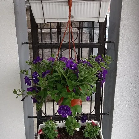 Sokak Apartment *