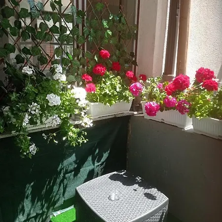 Sokak